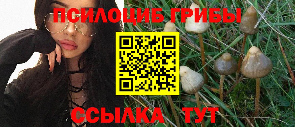 Галлюциногенные грибы мицелий Ноябрьск